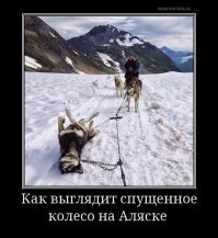 Свежая подборка демотиваторов, которые поднимут вам настроение