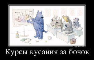 Свежая подборка демотиваторов, которые поднимут вам настроение