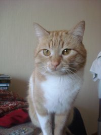 а вот мой балбес...