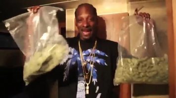 Всё логично.