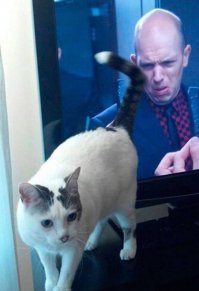 Кушаешь не забудь угостить монитор