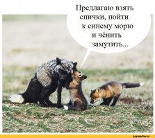 Что вы читаете своим детям?