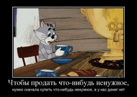 Кошки и интересные факты про них