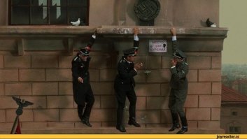 20 невероятных кадров, доказывающих, насколько важен ракурс, когда фотографируешь