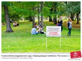 Почему такой рай невозможен у нас, но где его всё-таки можно найти