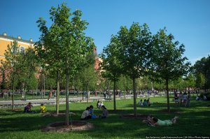 Почему такой рай невозможен у нас, но где его всё-таки можно найти