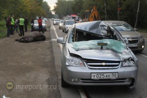 Это ПЗДЦ Граждане. Посмотрите, что бывает когда лошадь оказывается в городе.
В Бутово лошадь выскочила из кустов и едва не угандошила мужика на машине. Лошадь к сожалению погибла. Но я представляю как ох-ел мужик, когда очнувшись после реанимации узнал, что его едва не убила шальная лошадка.