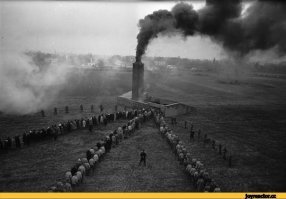 Эти мать "бохоизбранные" хороши только в таком виде. Начиная с рокфелеров и заканчивая тутошней ТП-ой