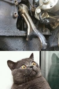 25 по-настоящему ужасающих фотографий из автосервисов