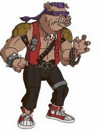 Огромный кабан обчистил школьную помойку в Гонконге