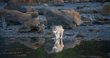 Териберка. Вдохновение Русского Заполярья