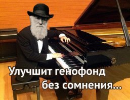 Кандидаты на премию Дарвина в гифках