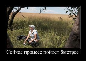 Не ходите, люди, в Африку гулять: прайд заживо съел браконьера