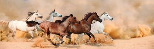 Мой тип соседей...