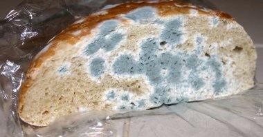 А что с продуктами творится, вообще, ужос