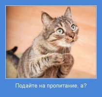 Про Васю