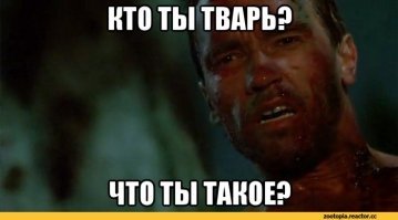 Кадровик после прочтения такого резюме