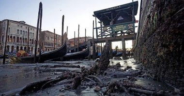 Фотки прошлогодние. В этом году Венеция засохла.