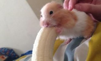 Смешные комментарии и высказывания из социальных сетей