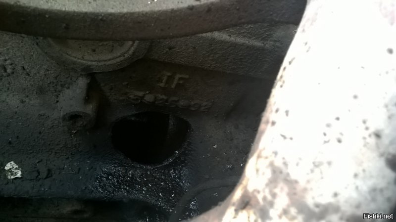 Из собственного;