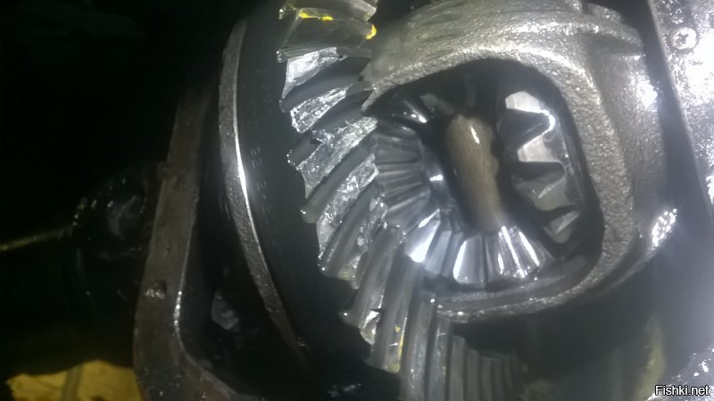 Из собственного;