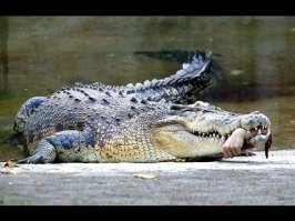 Потом так...