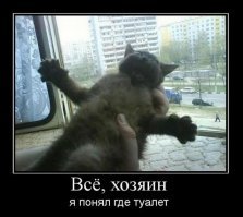 Парень решил подарить девушке щенка, но что-то пошло не так