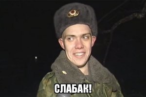 Спасение кота, просидевшего неделю на 20-метровом дереве