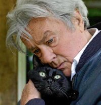 Коты..они такие.
 ТРЕБУЮ ЛЮБВИ И ЛАСКИ.