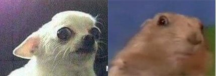 что-то мне это напомнило