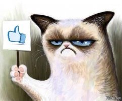 30 позитивных картинок, которые скрасят ваш день