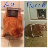 Ситуации, в которых не стыдно просить о помощи