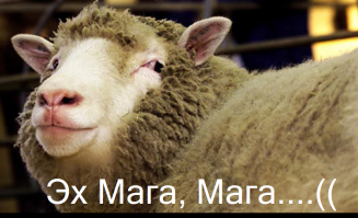 Московский маньяк-лизун получил всего пять лет колонии