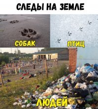 Вот так?Дело в том,что я сам из  Питера...