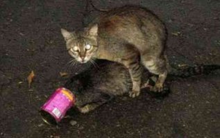 Ситуации, в которых не стыдно просить о помощи