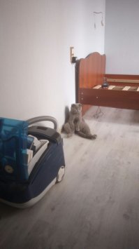 когда скучно собирать кровать