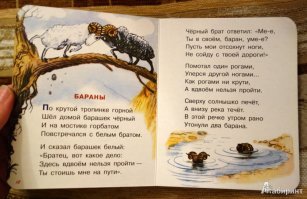 Два польских водителя дрались на трассе – их насмерть сбил белорусский дальнобойщик