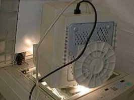 Вот почему нельзя недооценивать толстушек!