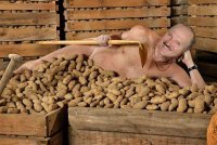 Лукашенко велел поотрубать руки домашним тиранам