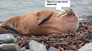 Прыщи, жир и внимательность: все, на что по-особому влияет холодный душ