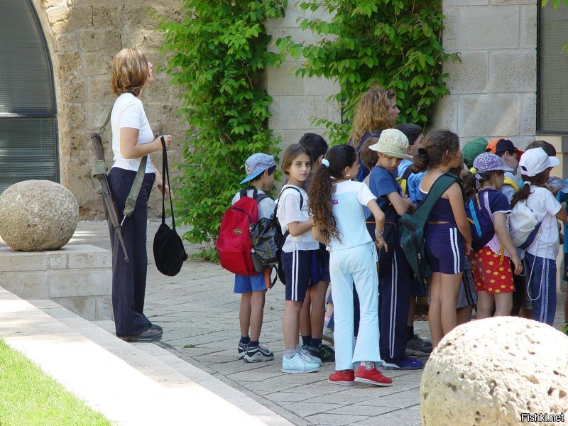 А в Израиле на школы чот не нападают.