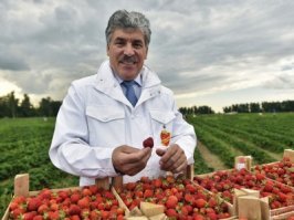 Груди Нины одобряют этот пост