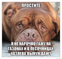 Да задрали эти собачатники по всему городу гавно с саками собачьими раскидывать Ходите с пакетами убирайте какахи своих питомцев особенно на детских площадках