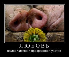 День Святого Валентина сильного и независимого мужчины 