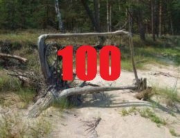 Картинки с надписями для настроения