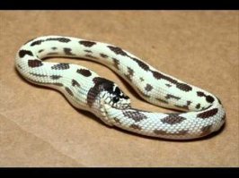 Если жизнь повернулась к тебе ...