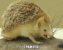 Обратная сторона мира рекламы