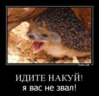 Обратная сторона мира рекламы