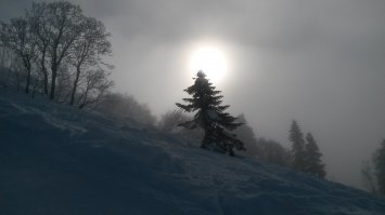 ндааа. С одной стороны 120 км. трасс, за всеми деревьями не уследишь, с другой стороны- возле подъемников хотя-бы, где скопления людей - можно и нужно. Пара фоток с южного склона этого года: