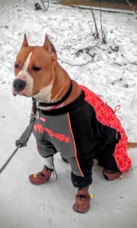 Было -  стало ...